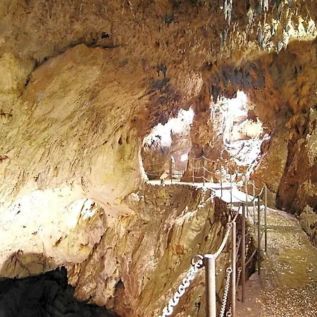 Ibiscus לינה וארוחת בוקר