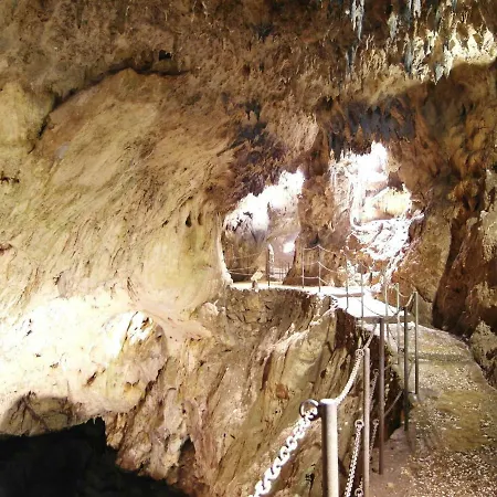 Ibiscus Отель типа 